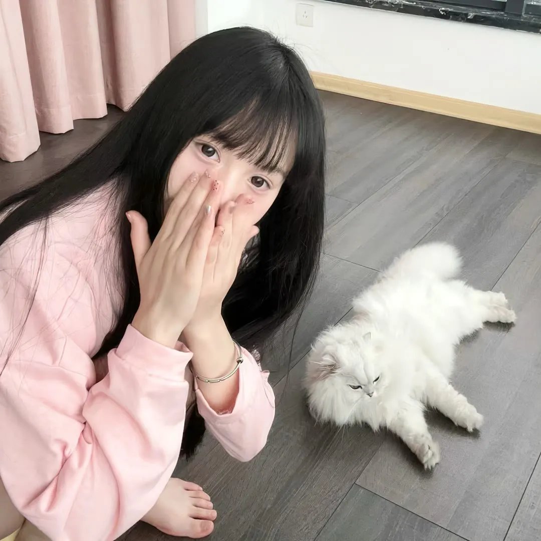 白塔之光